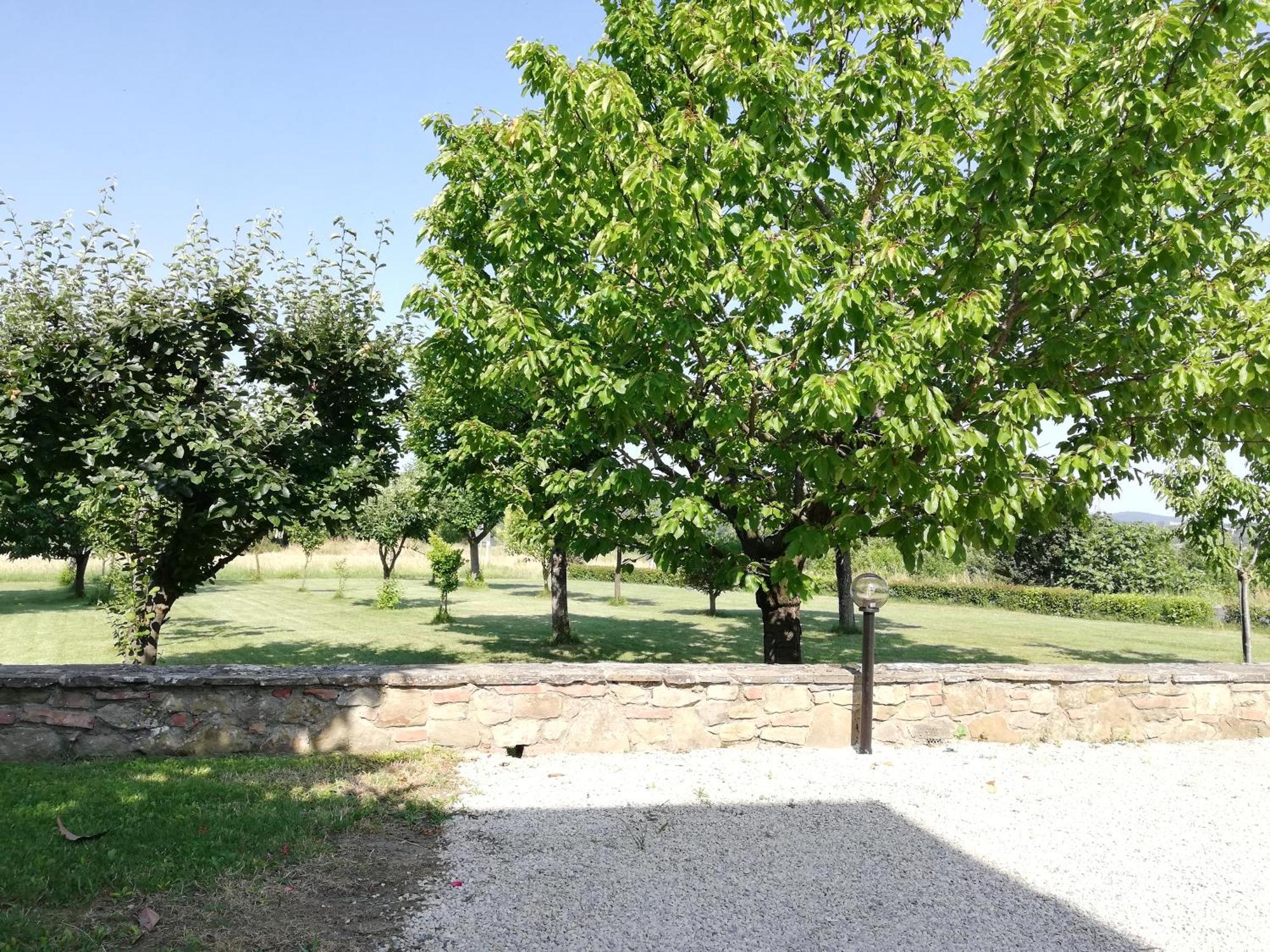 Il Papavero Verde Lucignano Luaran gambar
